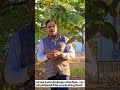 खंडवा में एक लाख से ज्यादा लोग ऑनलाइन ठगी का शिकार, 1149 करोड़ की धोखाधड़ी में 100 करोड़ की रिकवरी
