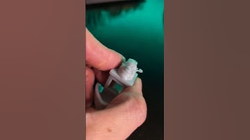 definitely an interesting one #3dprinting #randomprintables #shrek