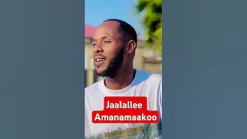 Alamuu Mokonnin Jaalallee Amanamaakoo 