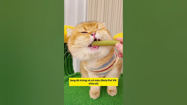 Chăm sóc thú cưng đúng cách với sản phẩm hot nhất từ Nota Pet! 🐾❤️ #notapetvn #fyp #pet #cat #dog