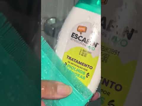 Parte 2 -