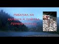 Слияние. Рыбалка на Хариуса на горной реке