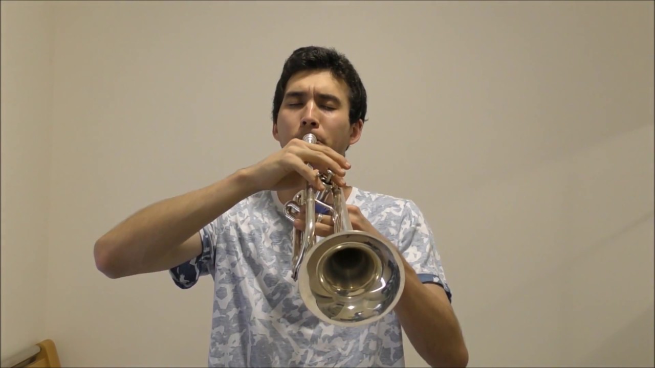 Harry Potter Lily's Theme (Trumpet) YouTube