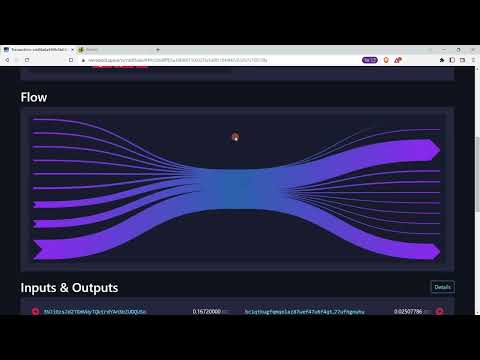 Bitcoin User Guide - How to trace a transaction on mempool