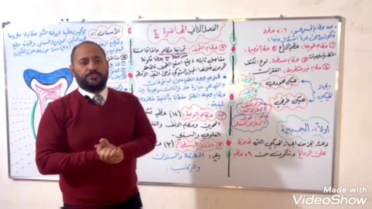 الفصل الثاني ( المحاضرة الثانية )