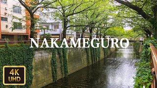 DJI Osmo Pocket -中目黒周辺を散歩 Walk around Nakameguro【4K】【September 2019】