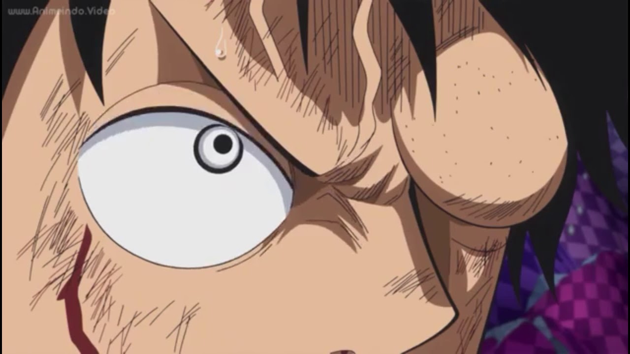 One Piece Episode 867