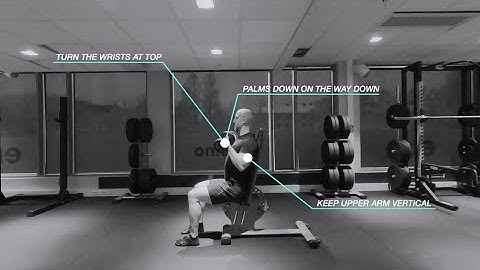 Seated Zottman Dumbbell Curl