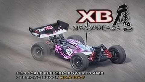 Thunder Tiger RTR SPARROWHAWK XB -Official Video