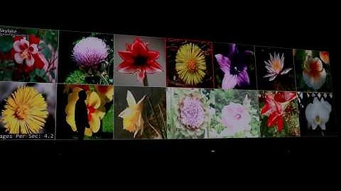 NVIDIA Demos Tesla V100 Deep Learning Image Inference Vs Intel Skylake Xeon At GTC 2018