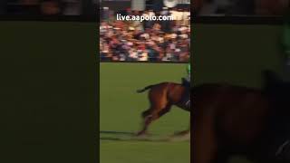 Facundo Pieres passes to Pablo MacDonough for a quick La Natividad goal in the 2023 Tortugas Abierto