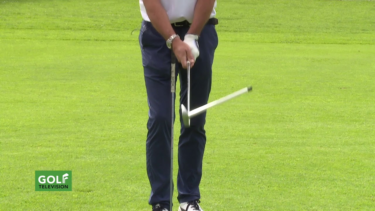 IL MAESTRO DICE Carlo Zappa 2 