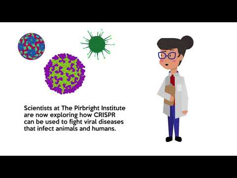 Video: Migliorare La Progettazione Della Guida CRISPR Con Approcci Di Consenso