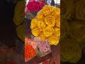 We are looking for roses for a home decor photo shoot. #Roses #CreativeTeam #HomeDecorPhotoShoot