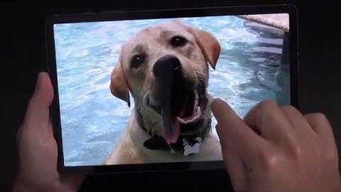 Insta360 One R 1 inch Edition Review