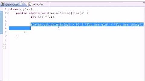 Java Programming Tutorial   20   Conditional Operators Video Lecture  Other Programming videos   Fre