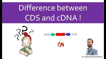 Difference between a cDNA and CDS? Complementary DNA and Coding DNA sequence