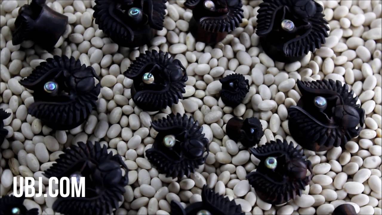 body piercing valparaiso Sacred Beetle Areng Wood Tunnels (2G - 1 Inch) | UrbanBodyJewelry