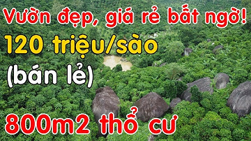 Bán đất vườn giá cực rẻ có 800m2 thổ cư, dày cây ăn trái, có hồ, đá đẹp lạ tại Di Linh, Lâm Đồng