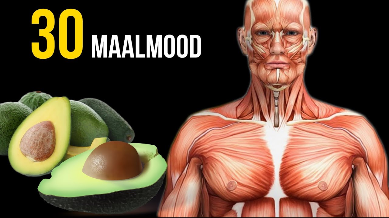 Haddii Aad Maalin Kasta Cunto Avocado Mudo Bil Ah, Sidan Ayaa Kugu Dhici Doonta