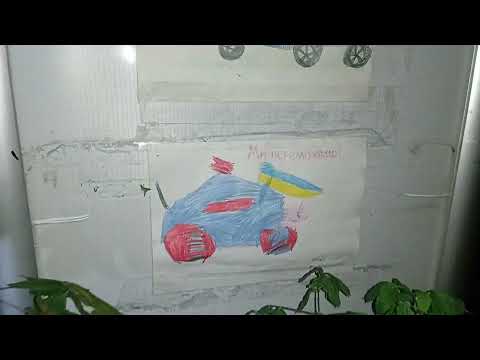 гость 15830 84