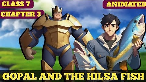 Gopal and the hilsa fish || Class 7 || Chapter 3 || Animated video || in hindi