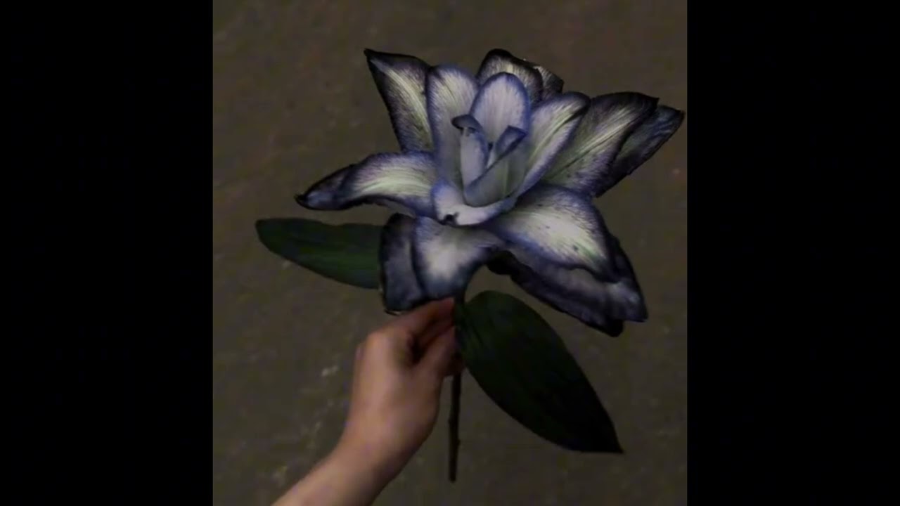 SAD RUN (CLEAN VERSION) adlı videoyu YouTube'da izle SAD RUN (CLEAN VERSION) adlı videoyu YouTube'da izle