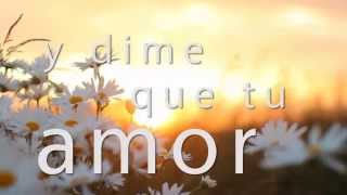 Ingenuo y soñador - Roberto Carlos - Letra - HD Resimi