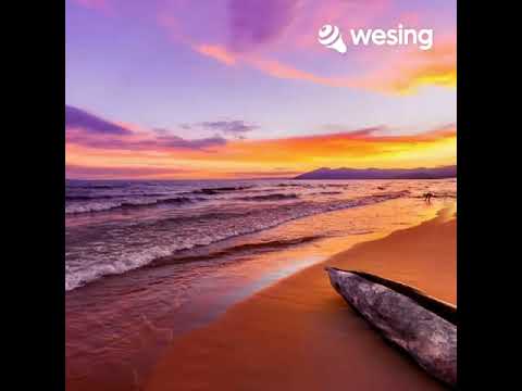 เพลง ไว้ใจ (พศ.2535) - ศิลปินต้นฉบับ : วงไฮดรา