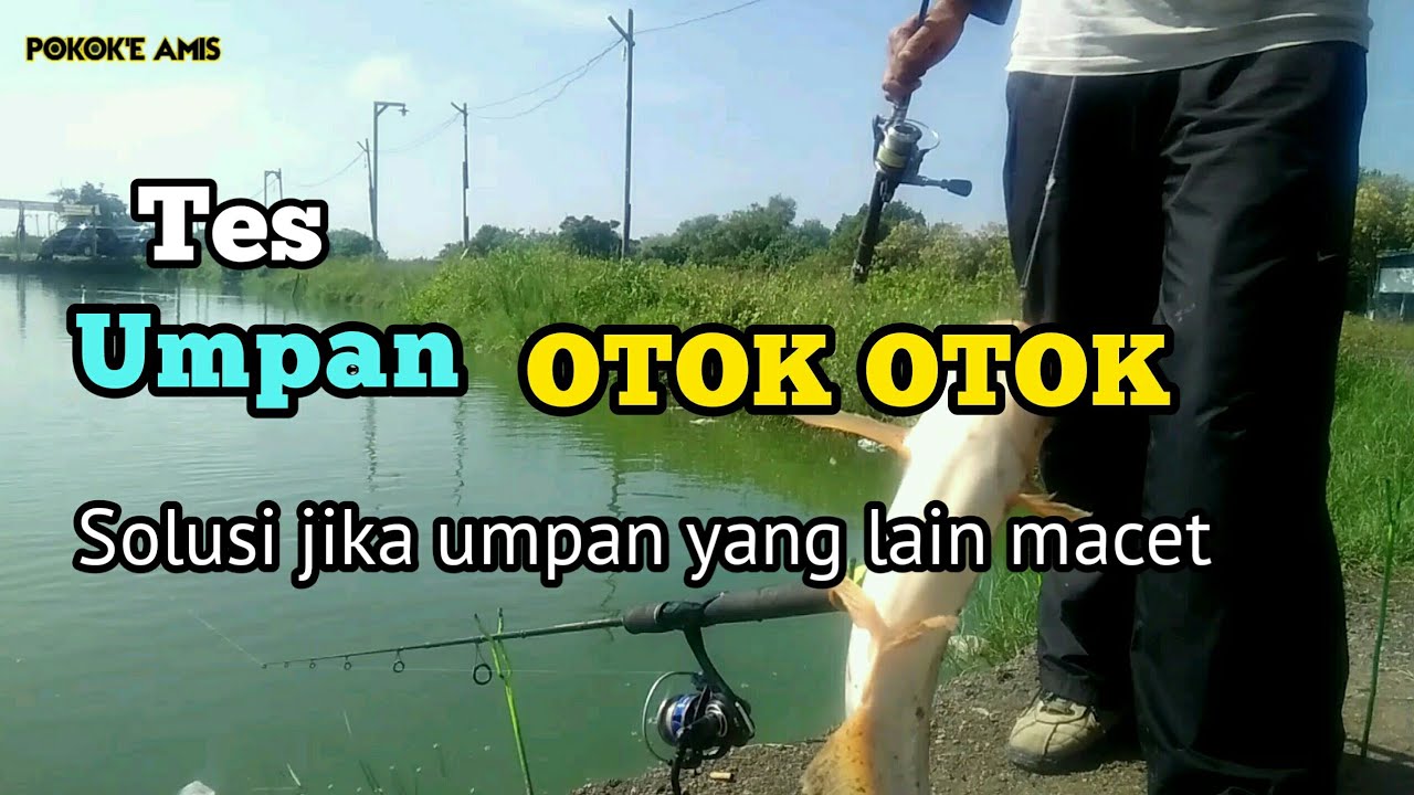 Tes Umpan Otok-otok ikan patin ‼️ kp.wito sidoarjo