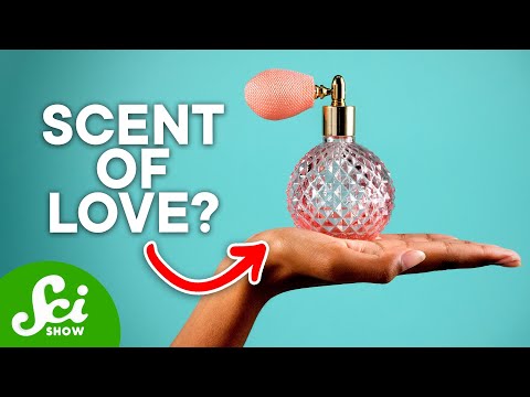 Video: What Are Pheromones Or What A Woman Smells Like