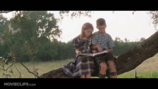 Forrest Gump 1 9 Movie CLIP   Peas and Carrots
