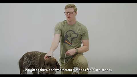 How to Measure Your Dog For A Dog Crate | GUNNER CX