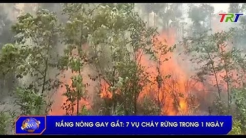 Nắng nóng gay gắt: 7 vụ cháy rừng trong 1 ngày