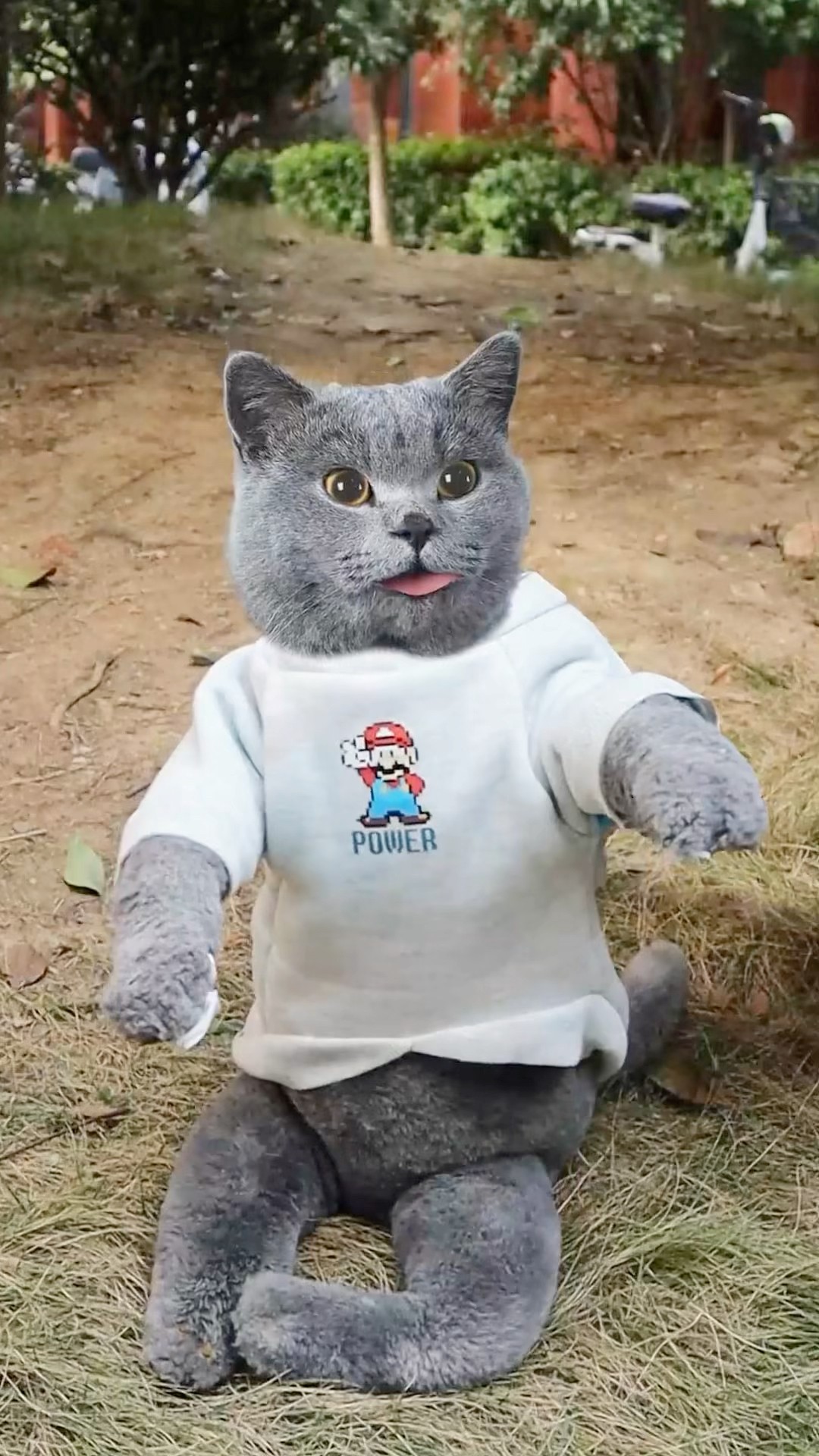 ?Let This Cute Little Bunny Taste The Sweet Eggs!?? #catvideos #catmemes #trending
