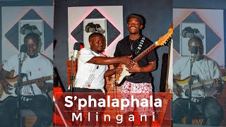 Mlingani - S'phalaphala inkondlo (poem)