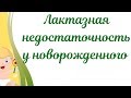 Лактазная недостаточность у грудничка.Симптомы при лактазной недостаточности у новорожденных.