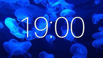 19 Minute Timer with Ambient Music - Jellifish