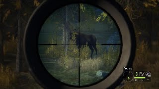 theHunter: Call of the Wild - Moose