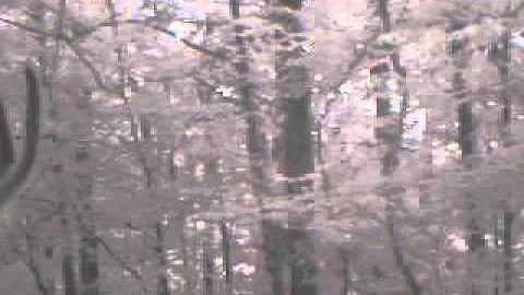 2013 Illinois Hunting Video: Preseason 8 Pointer P...