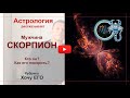 Мужчина Скорпион. Кто он? Как его покорить. Астрология рассказывает. 18+