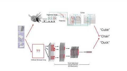 Toward Goal-Driven Neural Network Models for the Rodent Whisker-Trigeminal System