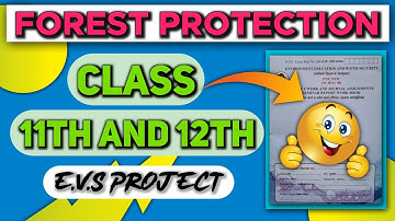 Evs Project On Forest Protection|Class 11th And 12th|Full Description|With PDF😍