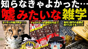 雑学ヤルミナティー 雑学ヤルミナティー