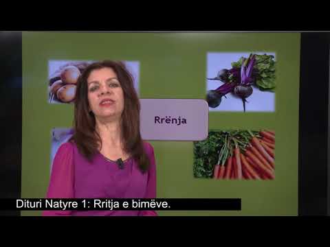 Video: Rritja e bimëve Hechtia - Informacion mbi Kujdesin për Hechtia Bromeliad