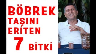 BÖBREK TAŞINI ERİTEN VE DÜŞÜREN BİTKİLER ve GİLABURU  I BÖBREK TAŞI ÖNLEYEN VE KUMU DÖKEN YİYECEKLER