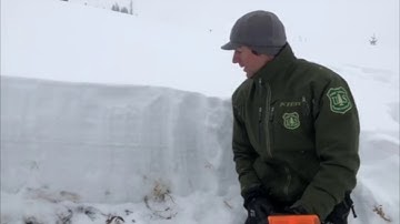 Poor snowpack structure, Lionhead 11 Dec 18