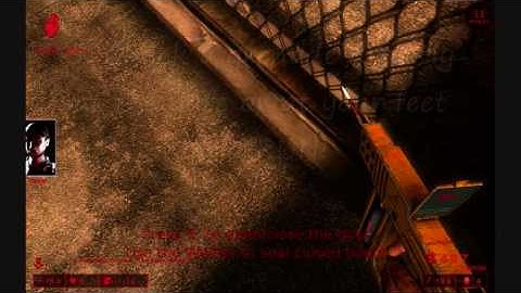 Killing Floor. How to stop the West London gate bug