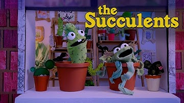 The Succulents | Pollinated | Sockz Studio | Sock Puppets