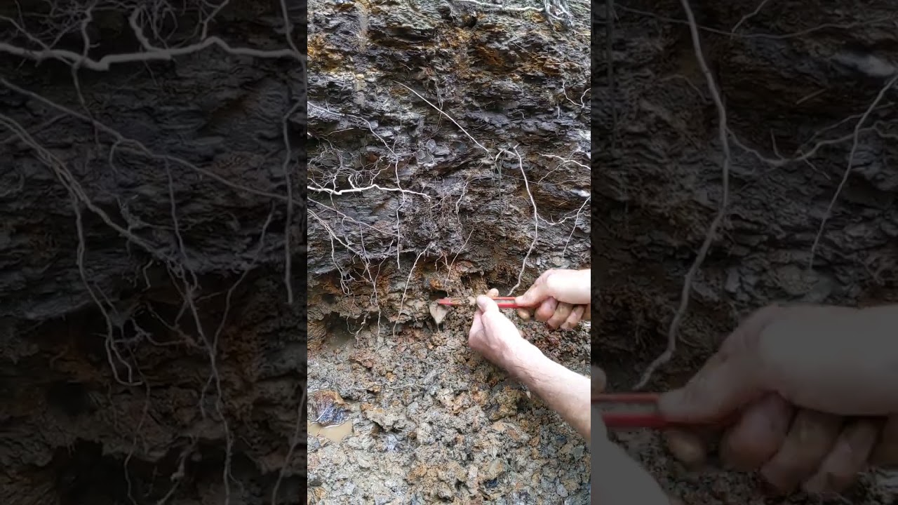 Beautiful selenite crystals discovered in North Texas